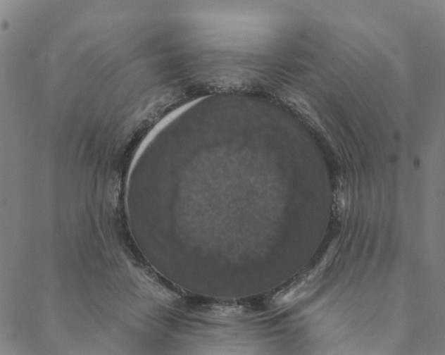 X0000088400458200706191402