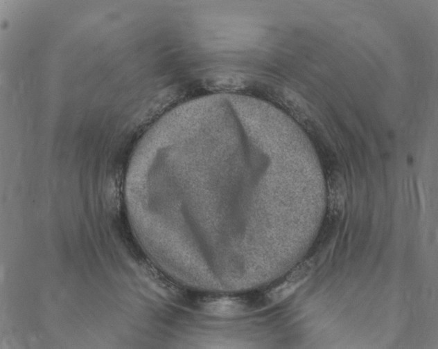 X0000088400460200706191402