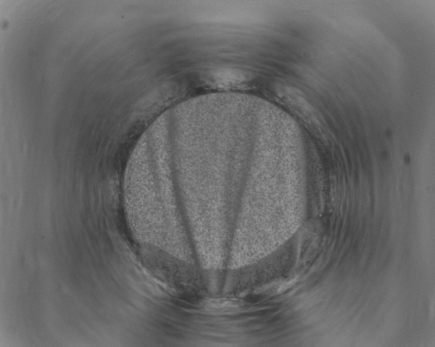 X0000088400461200706191402