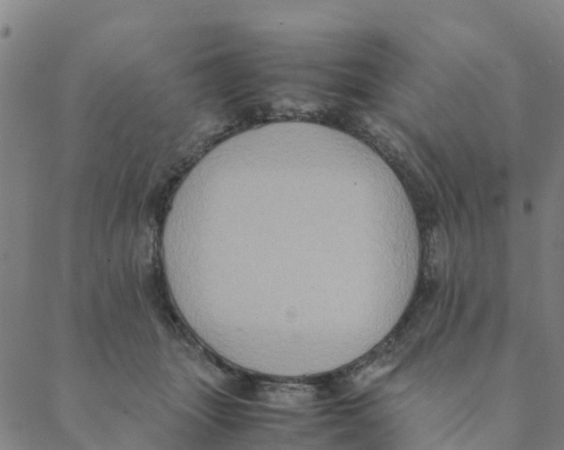 X0000088400463200706191402