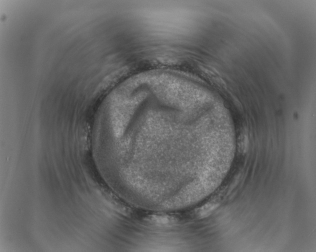 X0000088400464200706191402