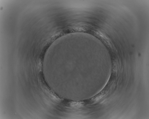 X0000088400465200706191402