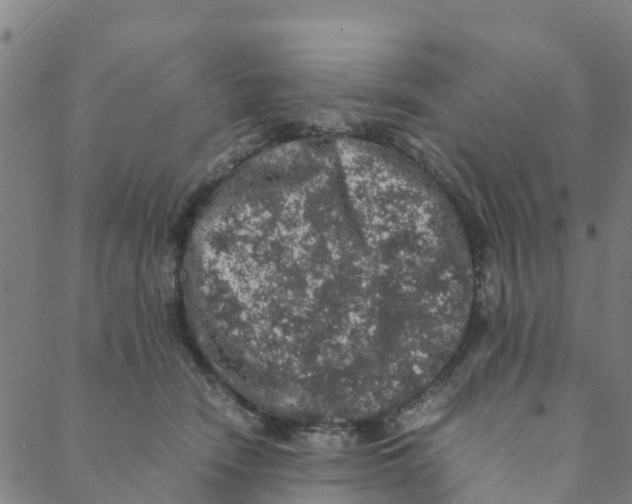 X0000088400466200706191402