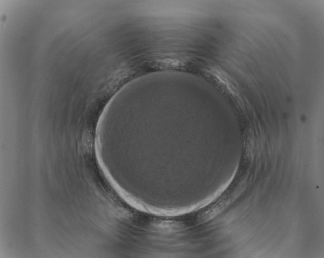 X0000088400467200706191402