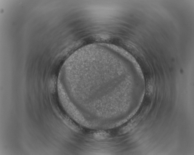 X0000088400468200706191402