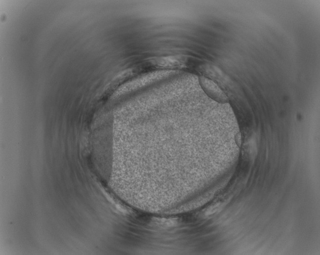 X0000088400469200706191402