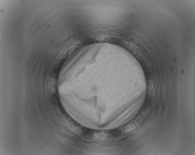 X0000088400470200706191402