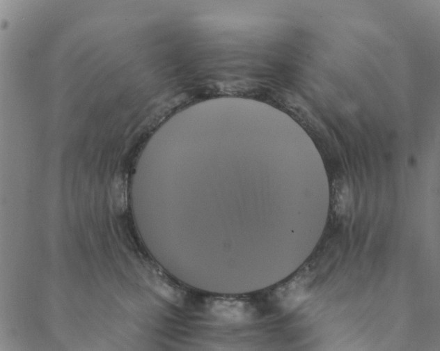 X0000088400471200706191402