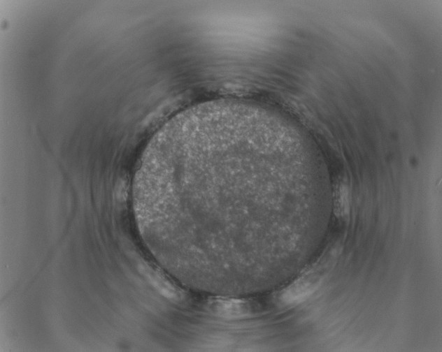 X0000088400472200706191402