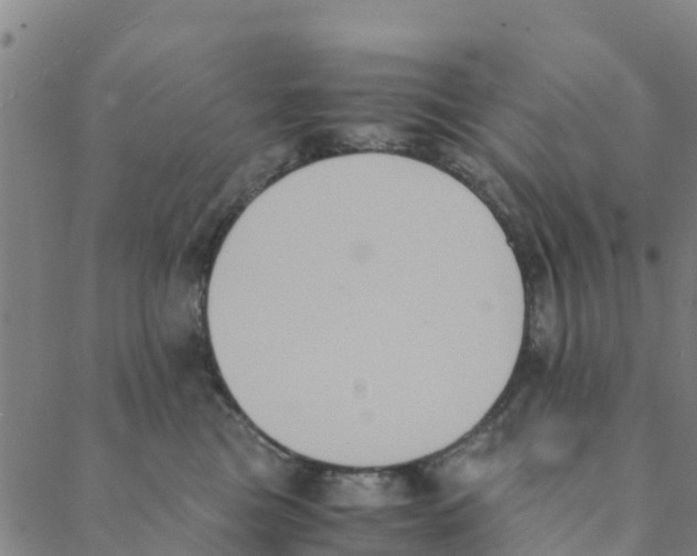 X0000088400473200706191402