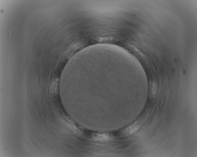 X0000088400475200706191402