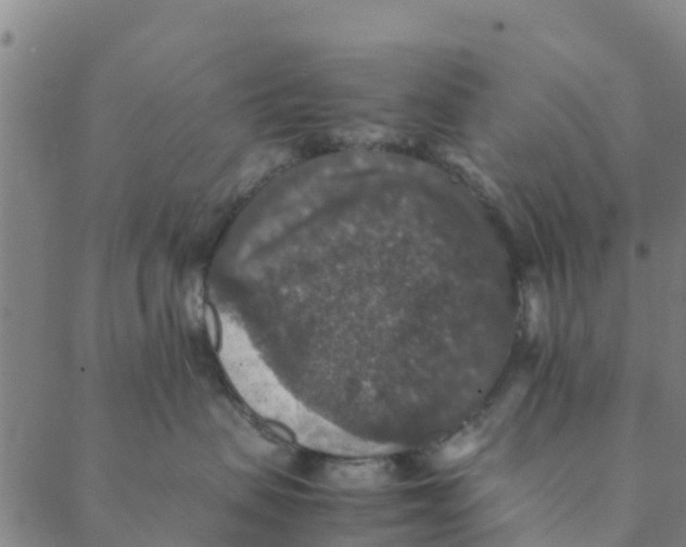 X0000088400479200706191402