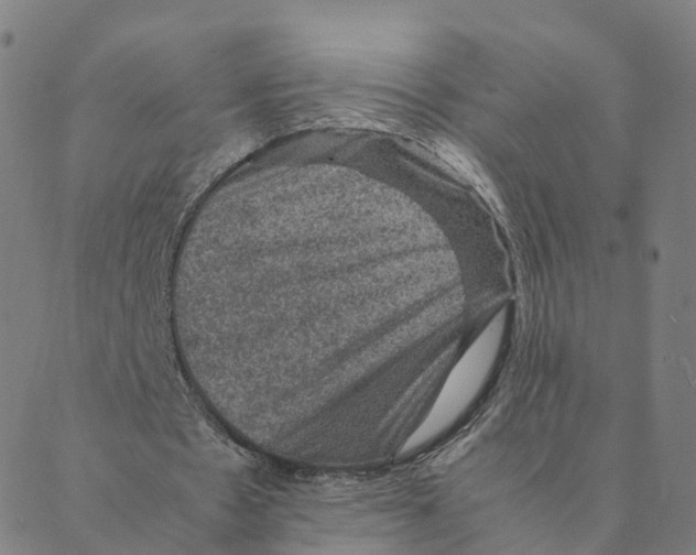 X0000088400481200706191401