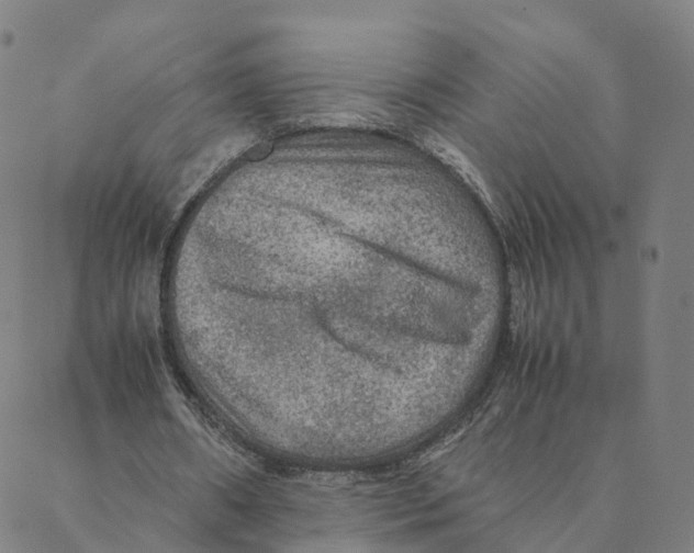 X0000088400482200706191401