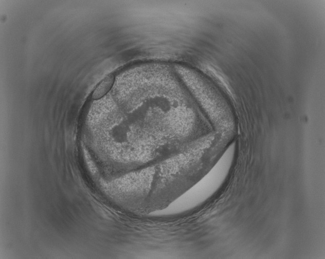 X0000088400483200706191401