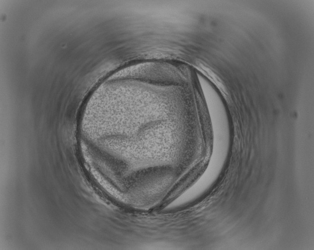 X0000088400485200706191401