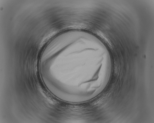 X0000088400486200706191401