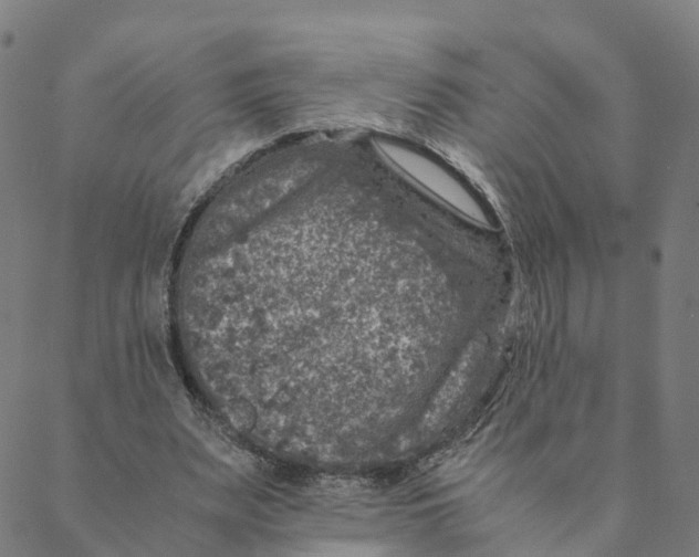 X0000088400487200706191401