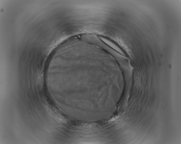 X0000088400488200706191401