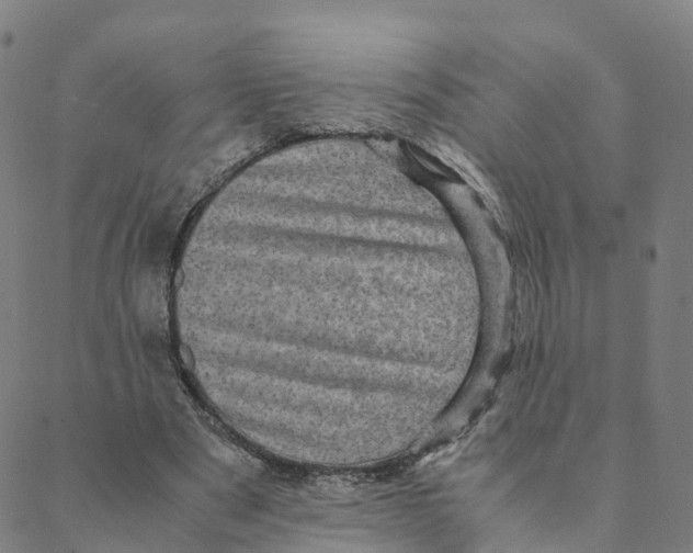 X0000088400489200706191401