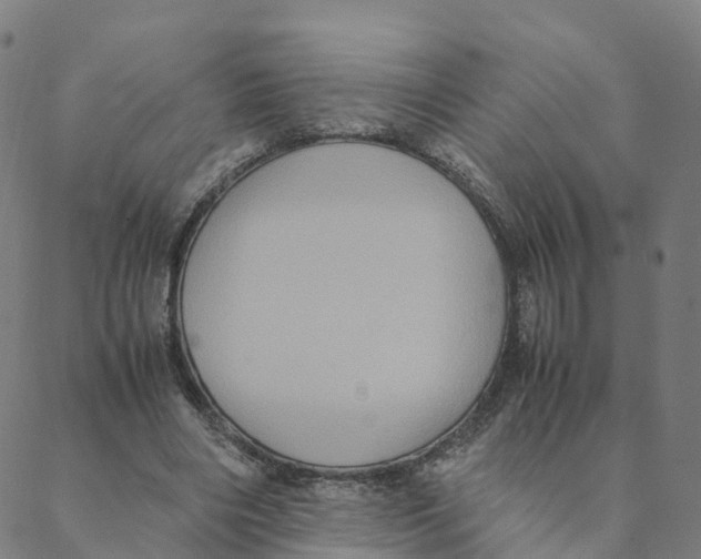 X0000088400490200706191401