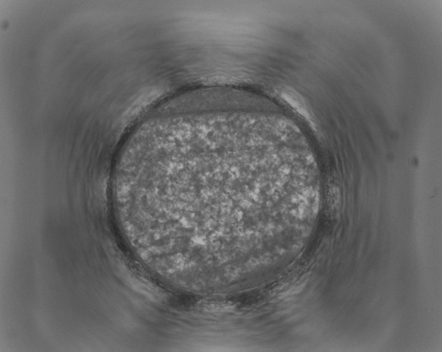 X0000088400491200706191401