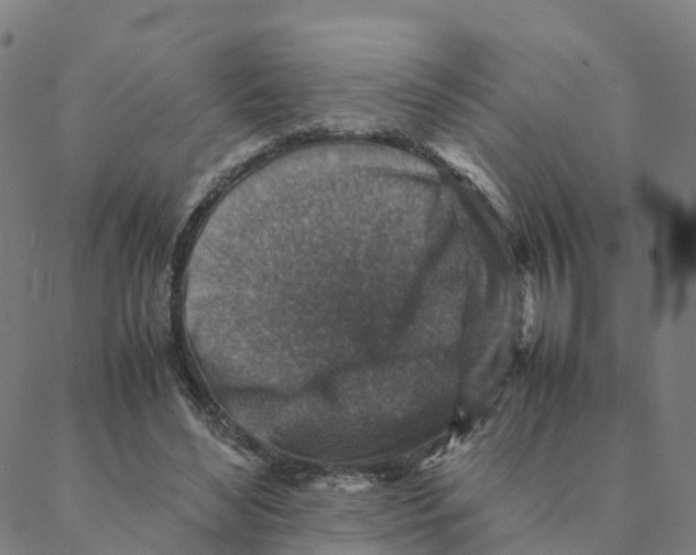 X0000088400492200706191401