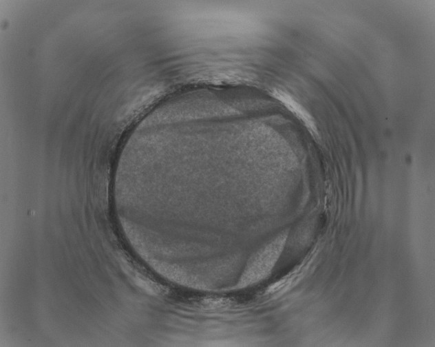 X0000088400493200706191401