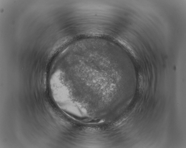 X0000088400494200706191401