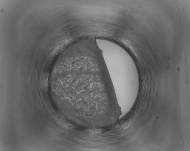 X0000088400495200706191401