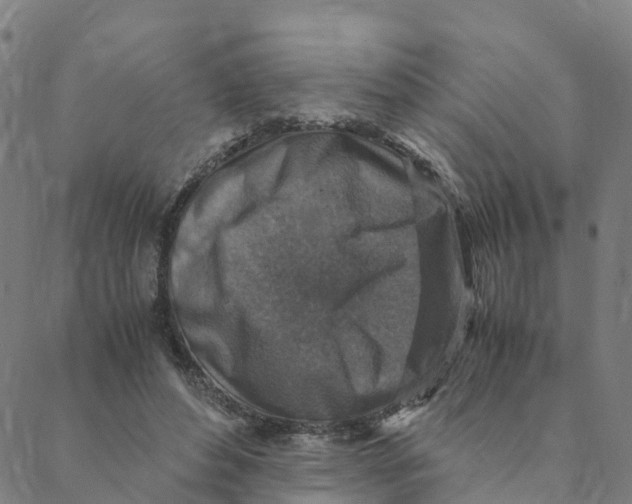 X0000088400496200706191401