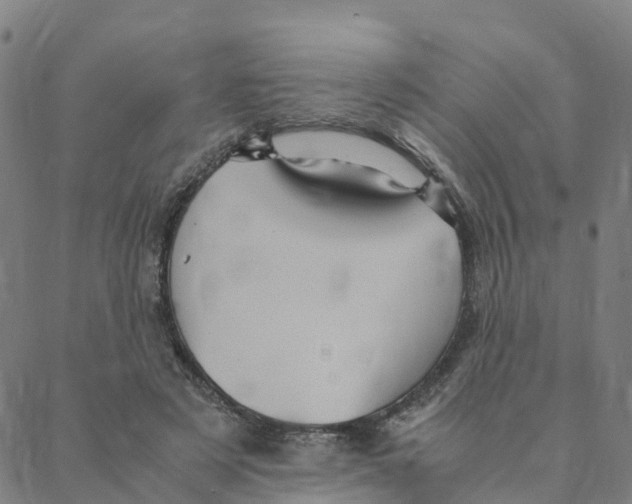 X0000088400497200706191401