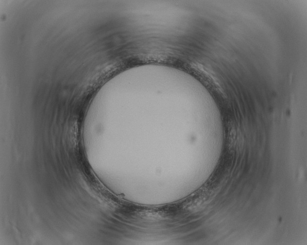 X0000088400498200706191401