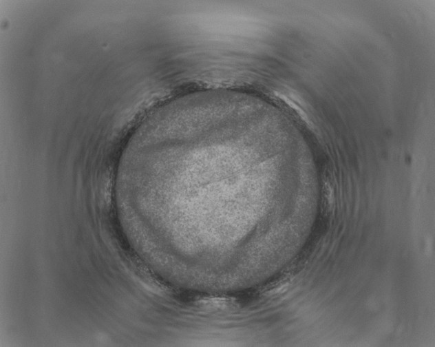 X0000088400499200706191401