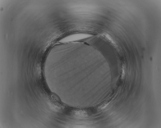 X0000088400500200706191401