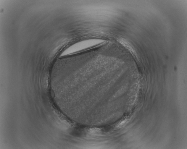 X0000088400501200706191401