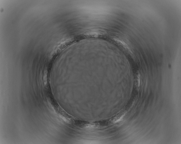 X0000088400504200706191401