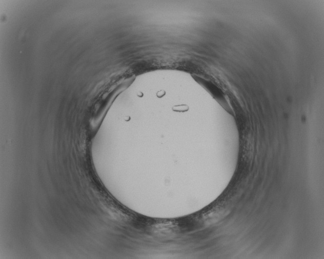 X0000088400505200706191401