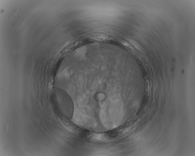 X0000088400507200706191401