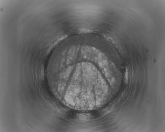 X0000088400508200706191401