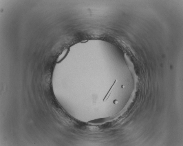 X0000088400509200706191401