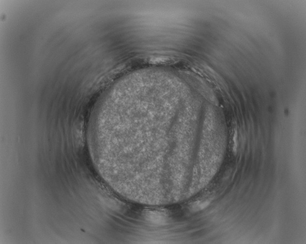 X0000088400510200706191401