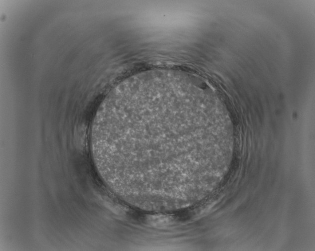 X0000088400511200706191401