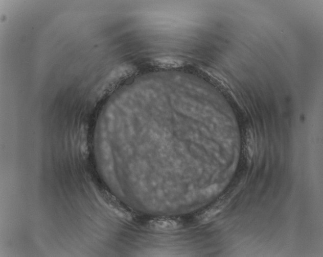 X0000088400512200706191401