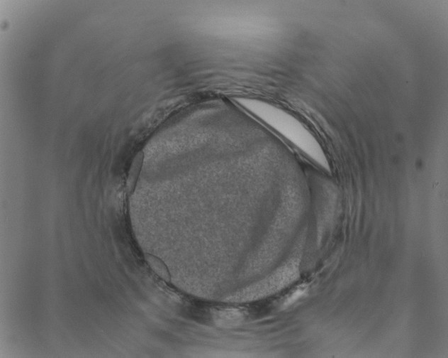 X0000088400513200706191401