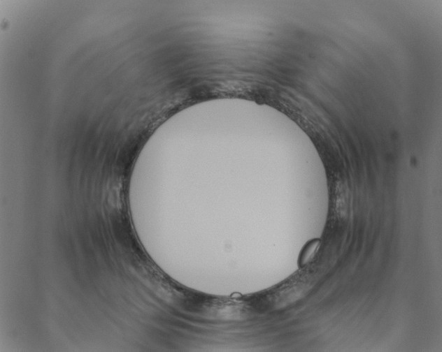 X0000088400514200706191401