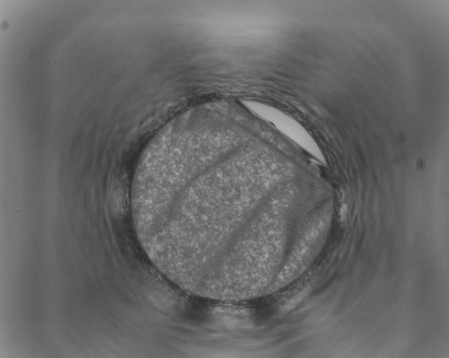 X0000088400515200706191401