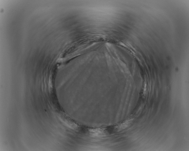 X0000088400516200706191401