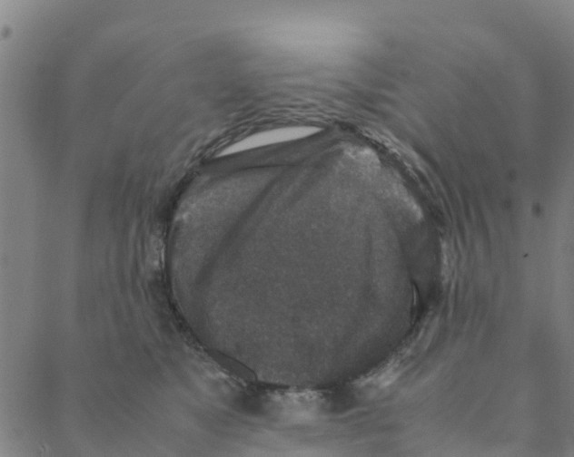 X0000088400517200706191401