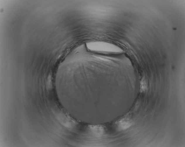 X0000088400520200706191401